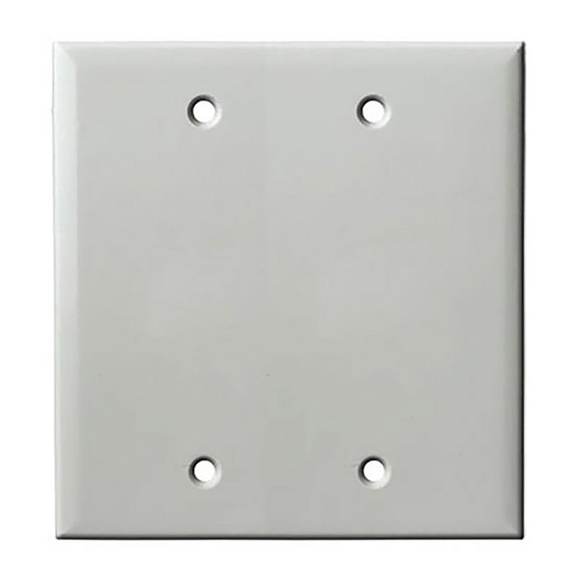 Placa ciega de pared de doble pandilla - Blanca