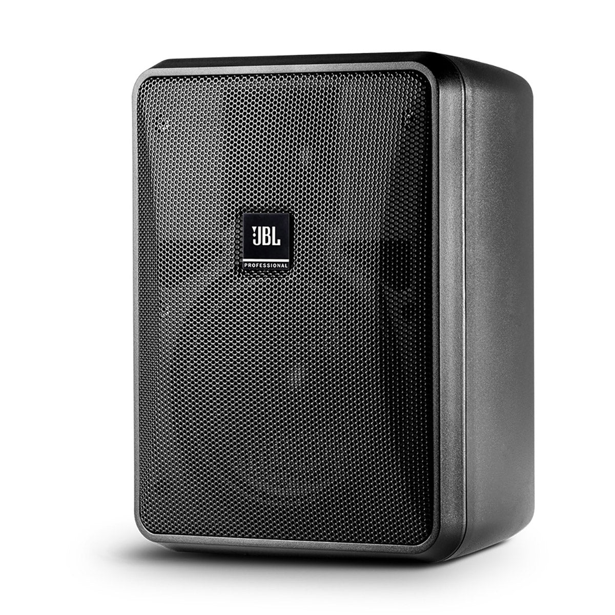 Control 25-1 Compact Indoor/OutdoorBackground/Foreground Speaker - Black