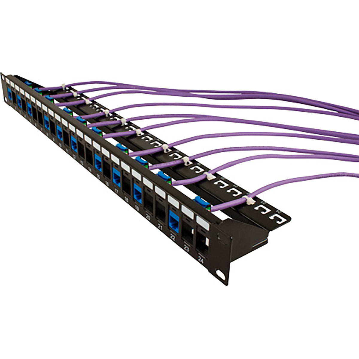 1U 24 Port Blank Patch Panel with Cable Manager - Black