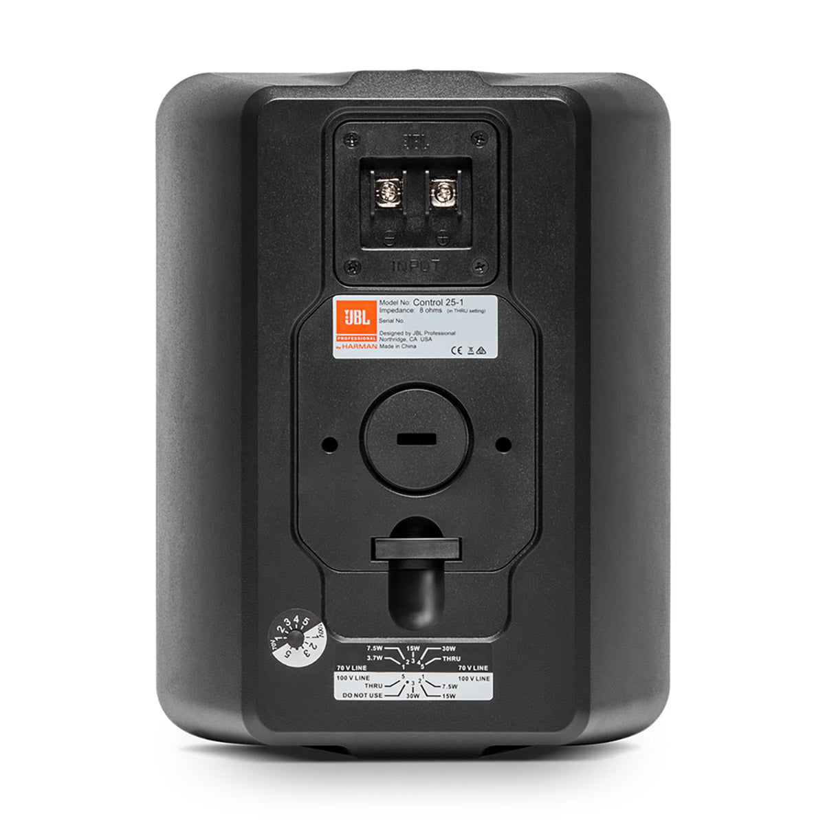 Control 25-1 Compact Indoor/OutdoorBackground/Foreground Speaker - Black