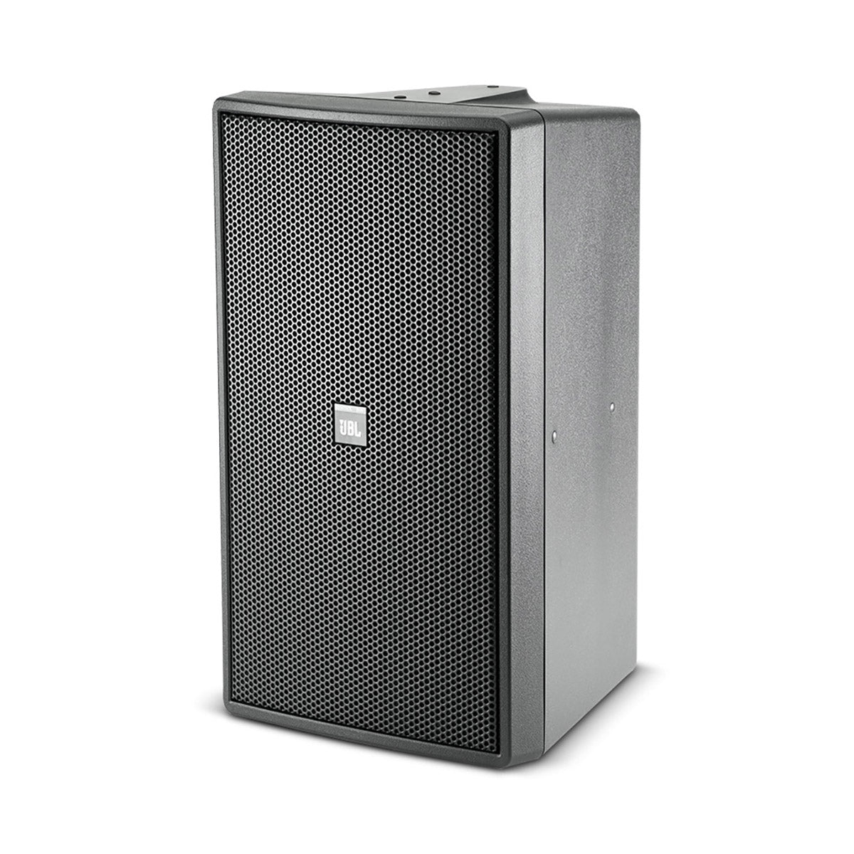Control 29AV-1 Premium Indoor / Outdoor Monitor Speaker - Black