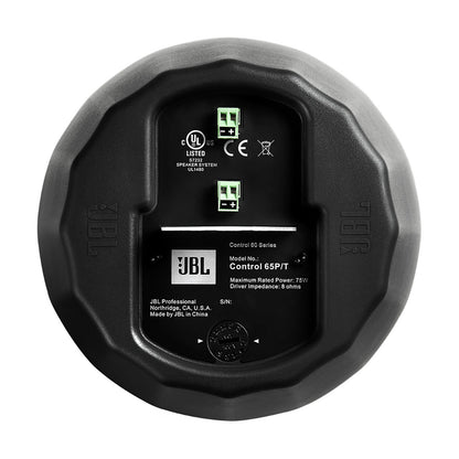 Control 65 P/T Compact Full-Range Pendant Speaker (Pair)